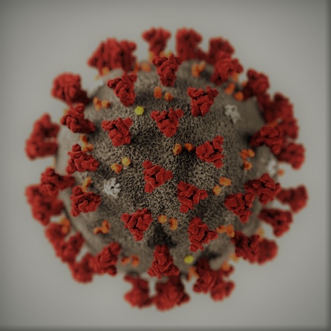 Coronavirus CDC 645x645